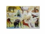 OBL814051 - Educational puzzles