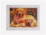 OBL820447 - 500pcs puzzle