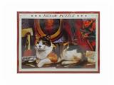 OBL834787 - CAT 1000 PIECE PUZZLE (75X50CM)