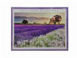 OBL834792 - 1000 PIECES OF COUNTRY PUZZLE (75X50CM)