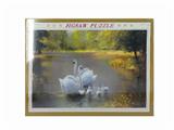 OBL834822 - 1000 PIECES OF SWAN PUZZLE (75X50CM)