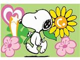 OBL834919 - DIY digital oil painting Snoopy.