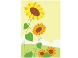 OBL834935 - DIY digital oil painting Sunflower.