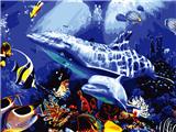 OBL834946 - DIY digital oil painting Dolphin.