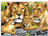 OBL834962 - DIY digital painting a lion