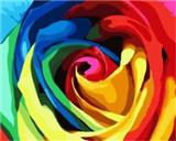 OBL834971 - DIY DIGITAL OIL PAINTING RAINBOW ROSE