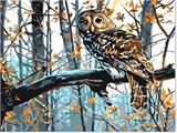 OBL834975 - DIY digital painting The owl