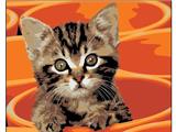 OBL835019 - DIY Digital Oil Painting Cute Cat.