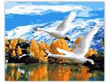 OBL835023 - DIY digital painting The swan
