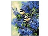 OBL835029 - DIY digital painting birds