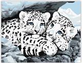 OBL835030 - DIY Digital Oil Painting Snuggle (Panther)