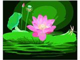 OBL835043 - DIY Digital Oil Paintings and Lotus.