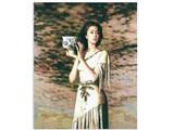 OBL835052 - DIY digital oil painting Tao Female II.