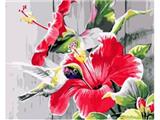 OBL835069 - DIY DIGITAL OIL PAINTING HUMMINGBIRD