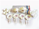 OBL839516 - Tea set