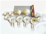 OBL839534 - Tea set