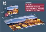 OBL843982 - ST. PETERS BASILICA VISION PUZZLE 1000PCS.