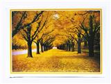 OBL845136 - 1000 LANDSCAPE PUZZLES.