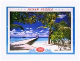 OBL845144 - 1000 LANDSCAPE PUZZLES.