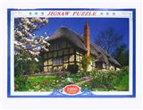 OBL845145 - 1000 PIECES OF LANDSCAPE MOSAIC