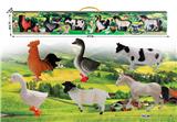 OBL876448 - 6-inch poultry