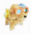 OBL898782 - ELECTRIC PLUSH TOYS