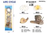 OBL938279 - Animaltoys