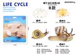 OBL938291 - 蜗牛成长周期B