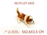 OBL949814 - 圣伯纳幼犬